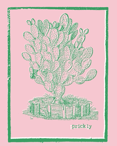 Detail of prickly tee design in green with white highlight with a cactus plant with a pink background and the word 'prickly'