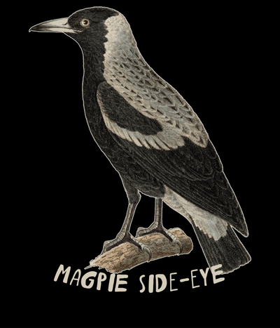 Magpie side-eye design detail — vintage Australian magpie illustration with hand-lettered text