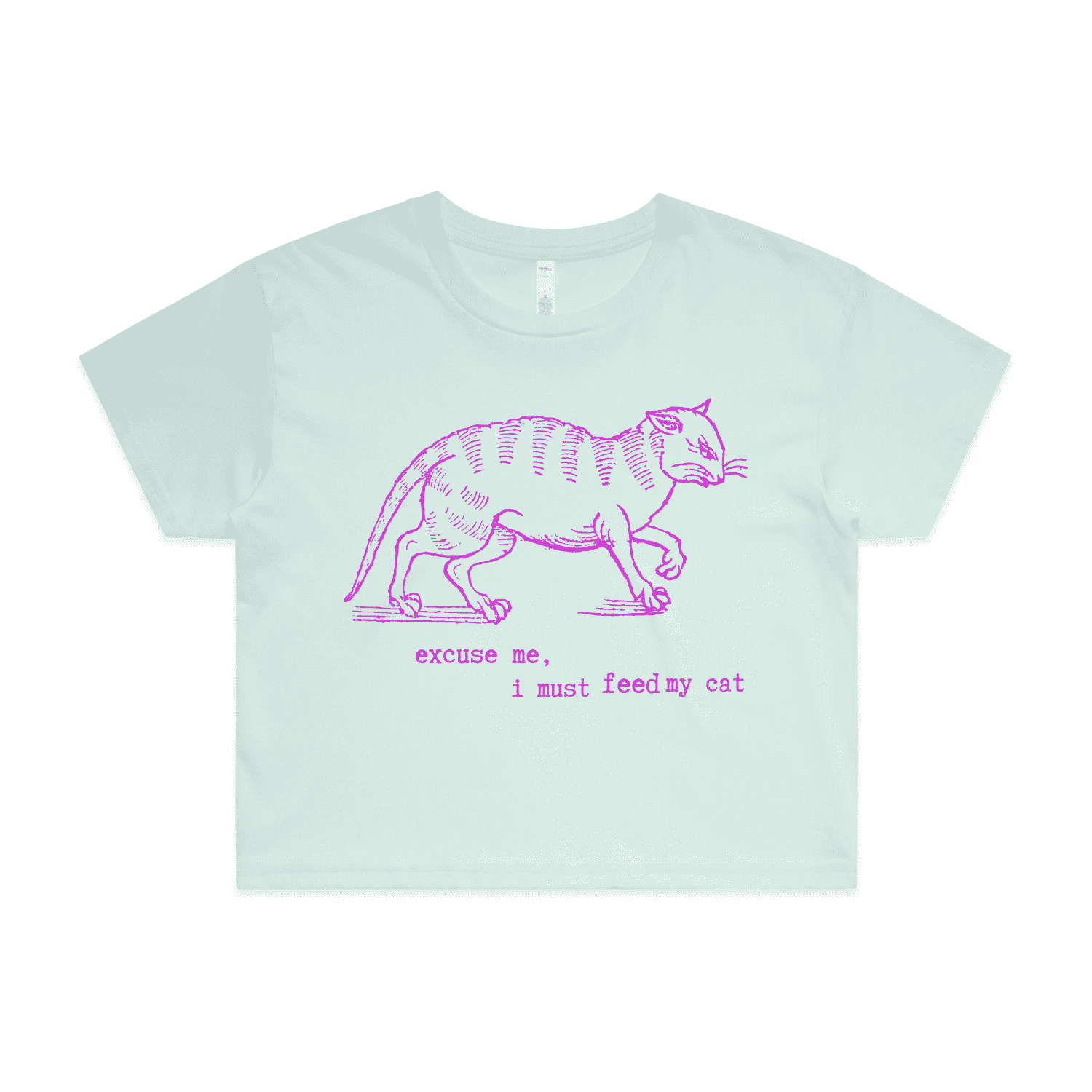 "I must feed my cat" vintage cat lover t-shirt - crop - seafoam - fthis