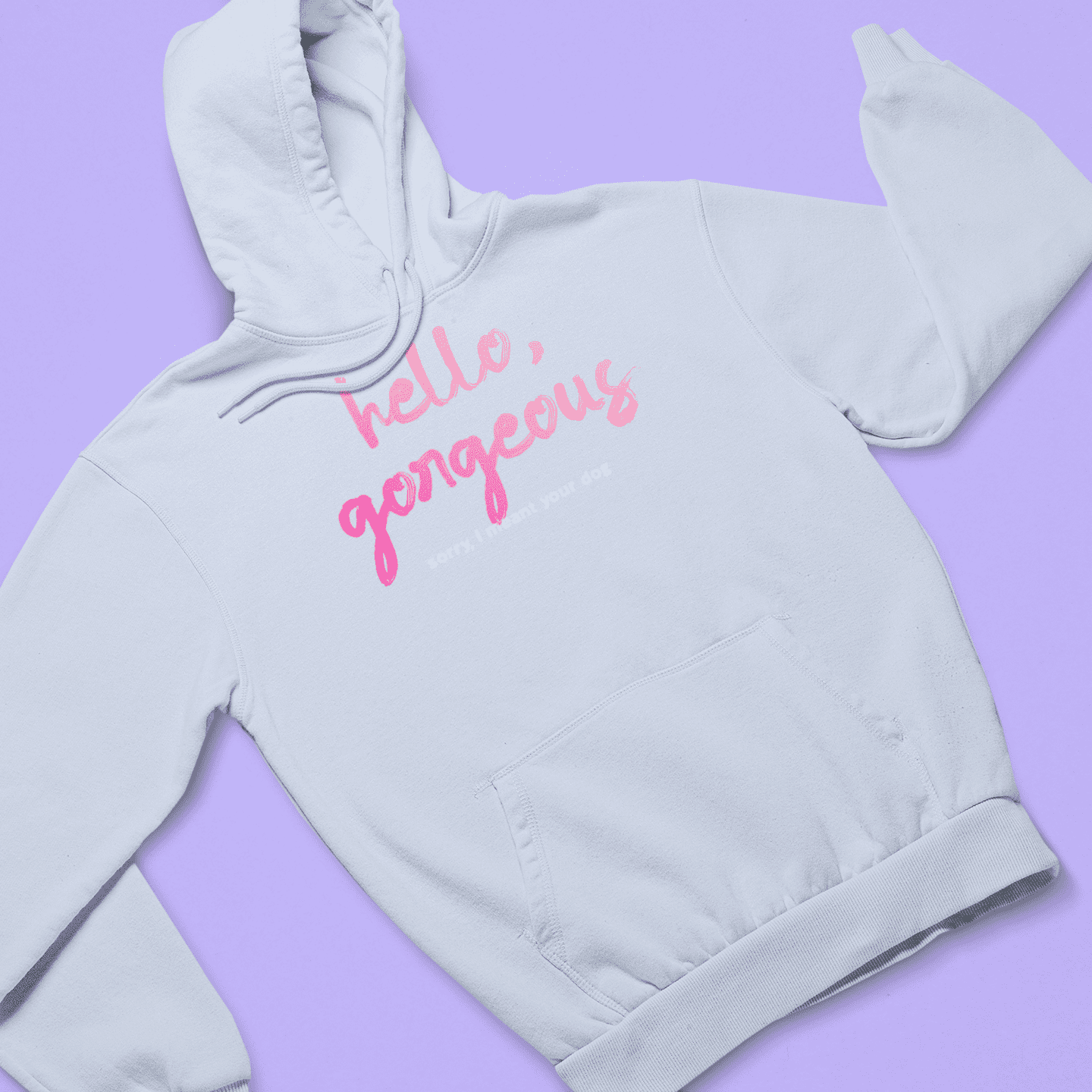 "Hello gorgeous! I meant your dog" - women's hoodie in powder mockup - fthis