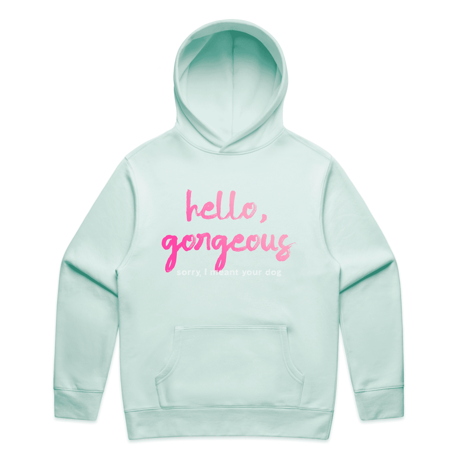 "Hello gorgeous! I meant your dog" - men's hoodie in seafoam - fthis