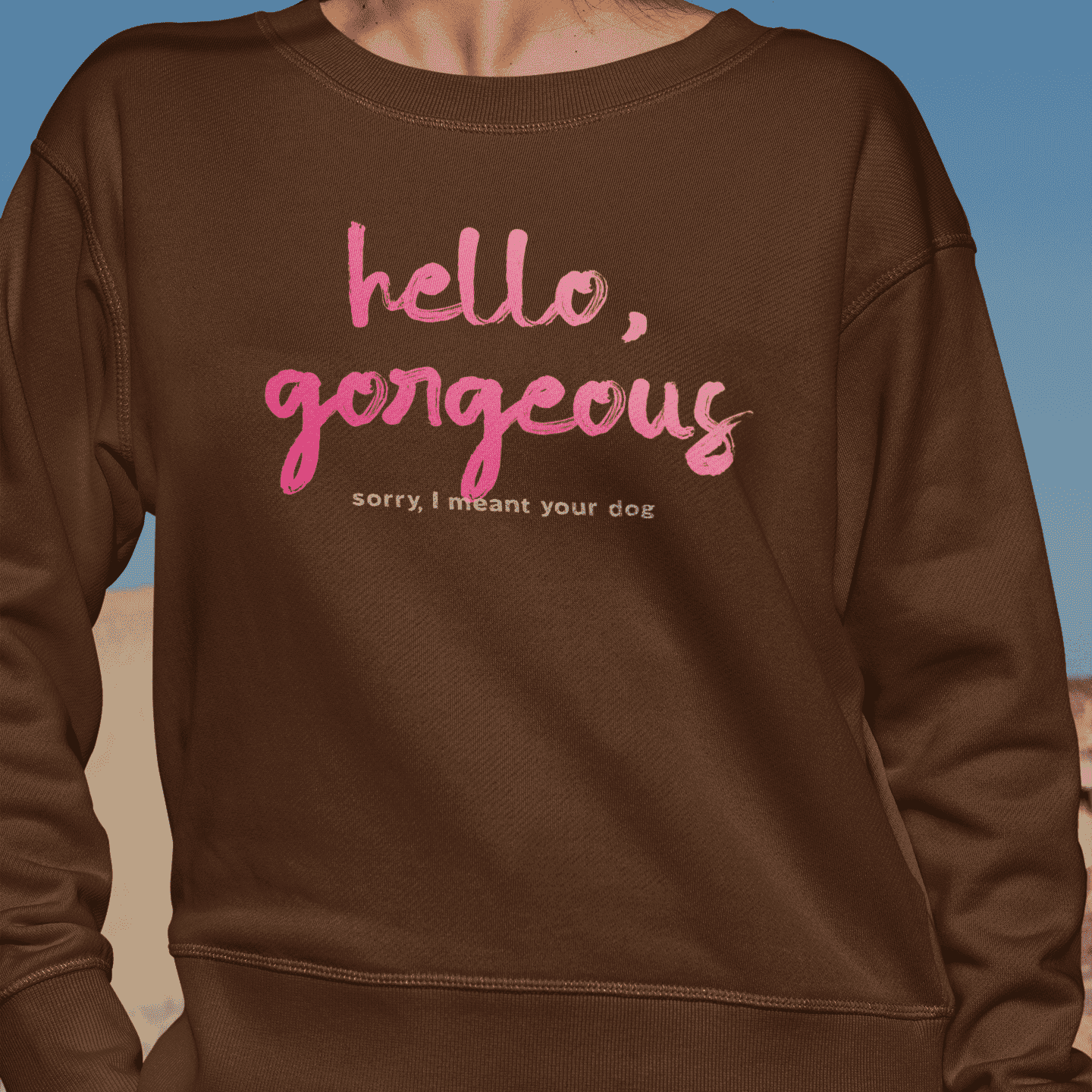 "Hello gorgeous! I meant your dog" - sweater in chestnut mockup - fthis