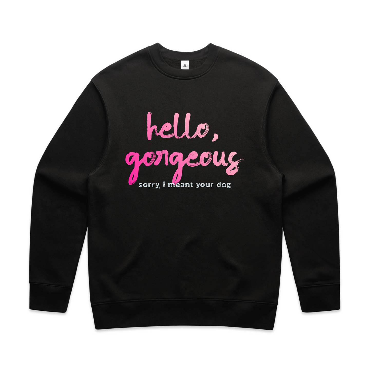 hello, gorgeous — sorry, I meant your dog sweatshirt & hoodie