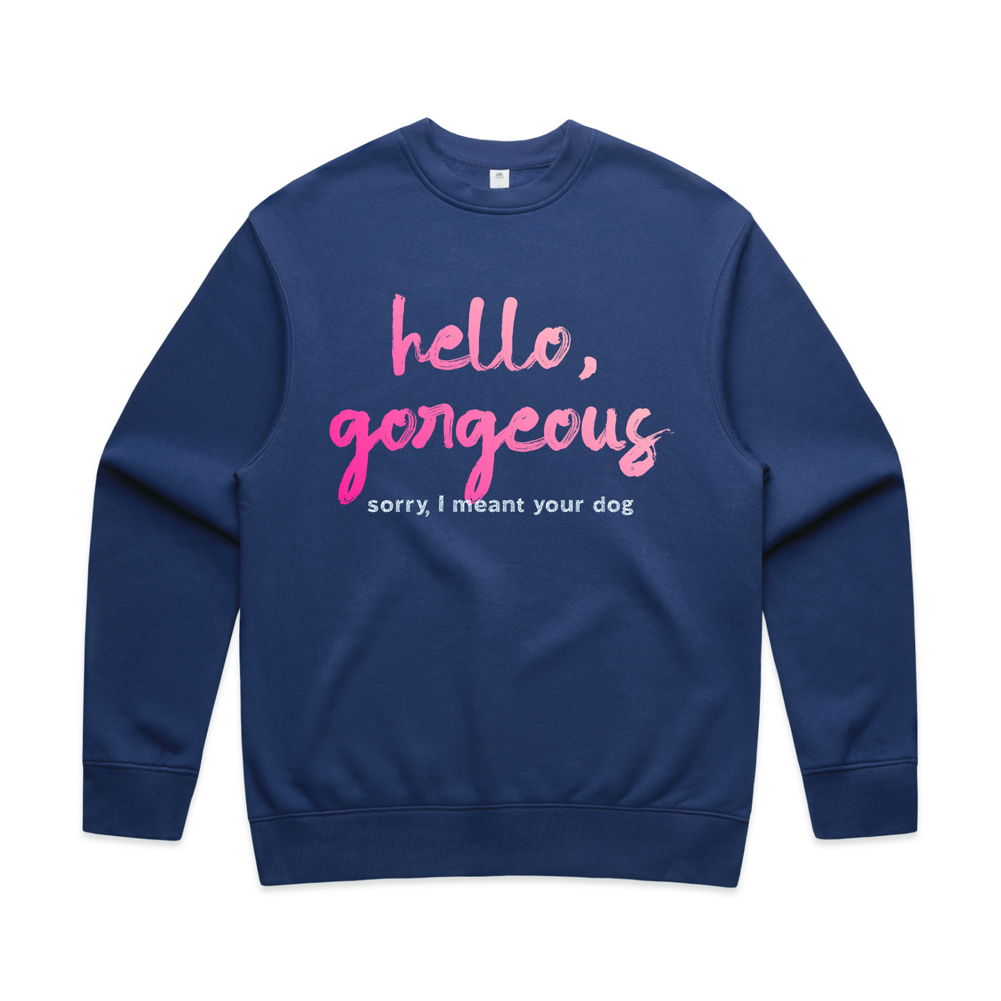 hello, gorgeous — sorry, I meant your dog sweatshirt & hoodie