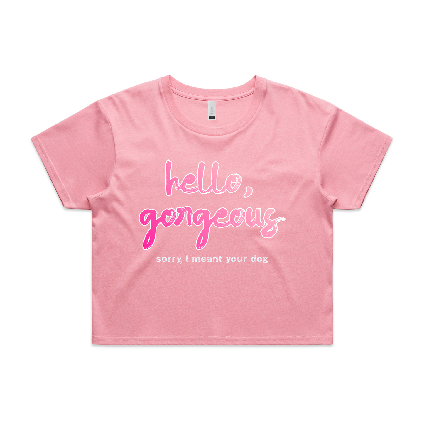 hello, gorgeous — sorry, I meant your dog sweatshirt & hoodie