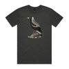 Magpie side-eye t-shirt in coal — fthis