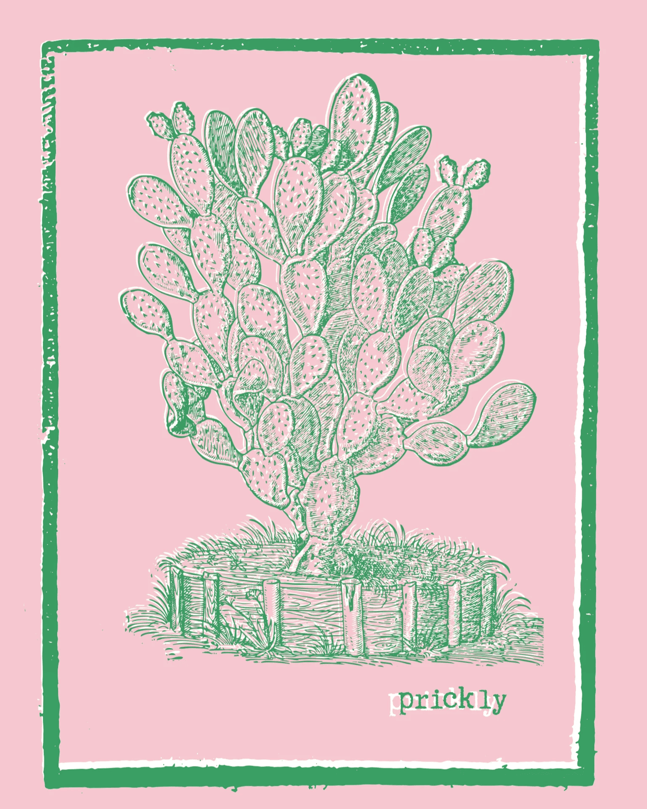 Detail of prickly tee design in green with white highlight with a cactus plant with a pink background and the word 'prickly' 